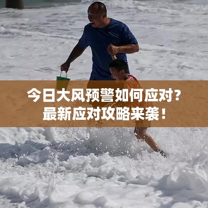 今日大风预警如何应对？最新应对攻略来袭！