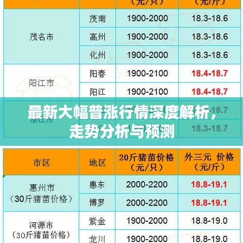 最新大幅普涨行情深度解析，走势分析与预测