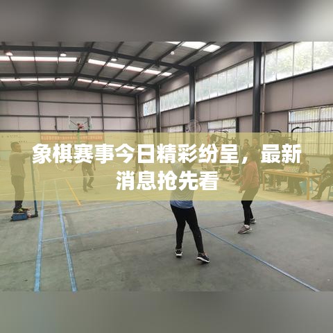 象棋赛事今日精彩纷呈，最新消息抢先看