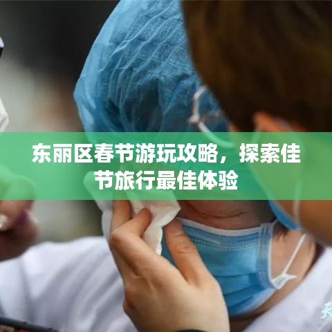 东丽区春节游玩攻略，探索佳节旅行最佳体验