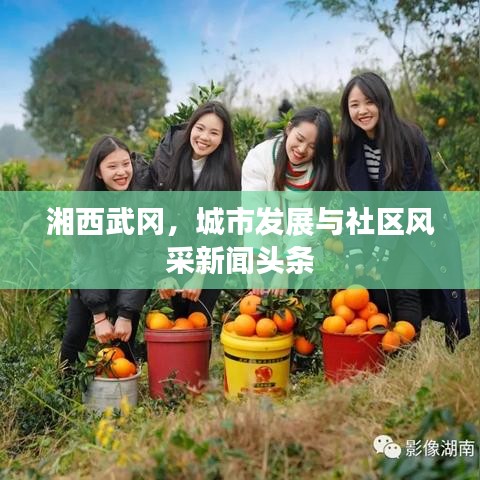 湘西武冈，城市发展与社区风采新闻头条