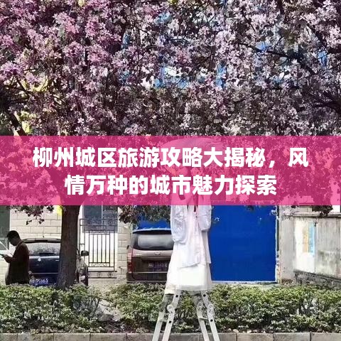 柳州城区旅游攻略大揭秘，风情万种的城市魅力探索