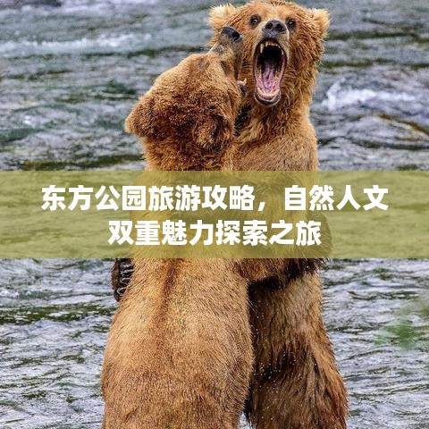 东方公园旅游攻略，自然人文双重魅力探索之旅