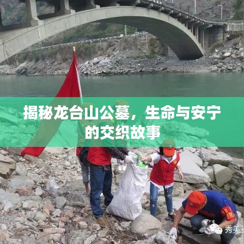 揭秘龙台山公墓，生命与安宁的交织故事