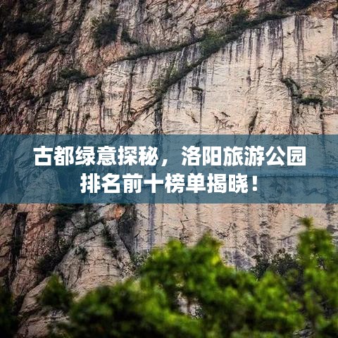 古都绿意探秘，洛阳旅游公园排名前十榜单揭晓！