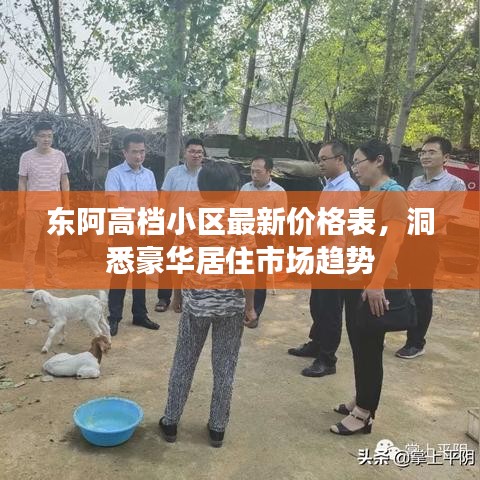 东阿高档小区最新价格表，洞悉豪华居住市场趋势