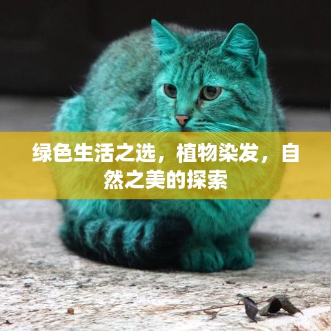 绿色生活之选，植物染发，自然之美的探索