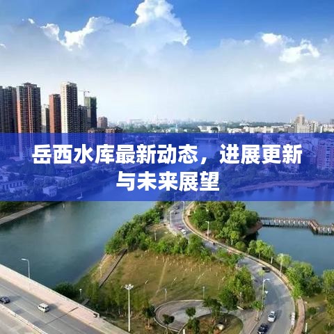 岳西水库最新动态，进展更新与未来展望