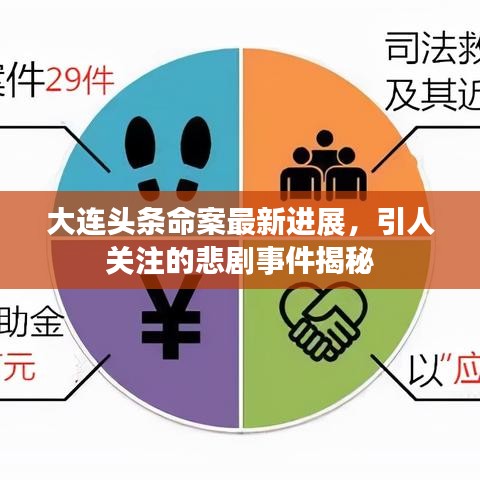 大连头条命案最新进展，引人关注的悲剧事件揭秘