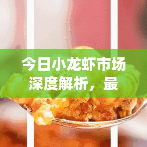 今日小龙虾市场深度解析，最新报道、走势与热门资讯一网打尽