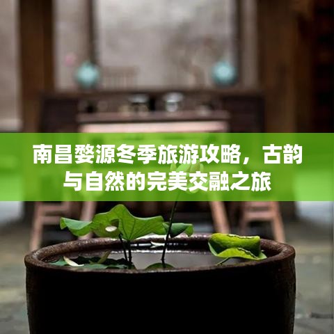 南昌婺源冬季旅游攻略，古韵与自然的完美交融之旅