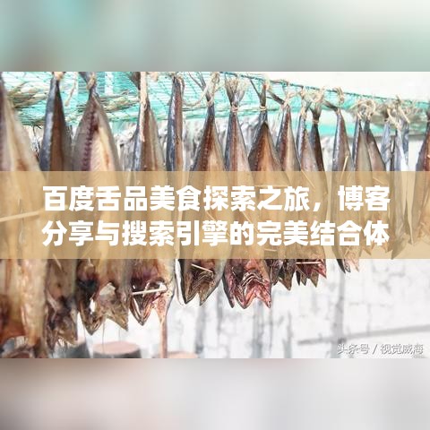 百度舌品美食探索之旅，博客分享与搜索引擎的完美结合体验