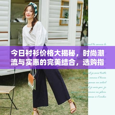 今日衬衫价格大揭秘，时尚潮流与实惠的完美结合，选购指南助你轻松挑选！