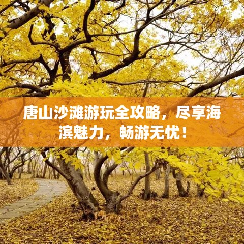 唐山沙滩游玩全攻略，尽享海滨魅力，畅游无忧！