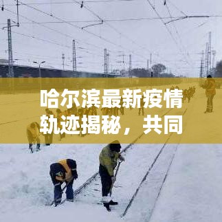 哈尔滨最新疫情轨迹揭秘，共同守护家园安宁