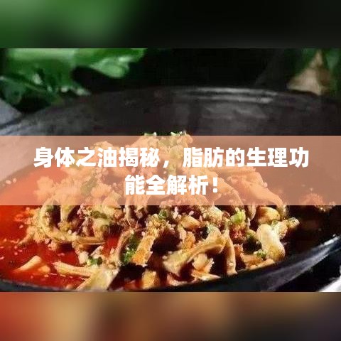 身体之油揭秘，脂肪的生理功能全解析！