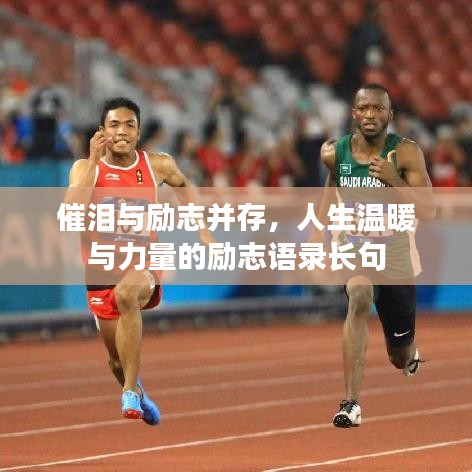 催泪与励志并存，人生温暖与力量的励志语录长句