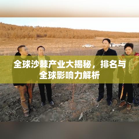 全球沙棘产业大揭秘，排名与全球影响力解析