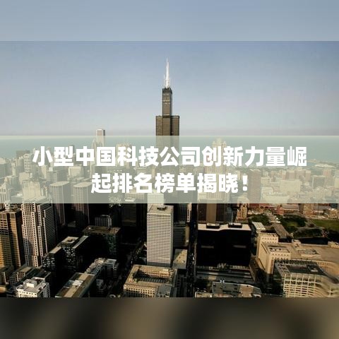 小型中国科技公司创新力量崛起排名榜单揭晓！