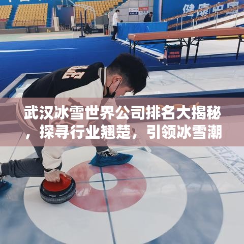 武汉冰雪世界公司排名大揭秘，探寻行业翘楚，引领冰雪潮流！