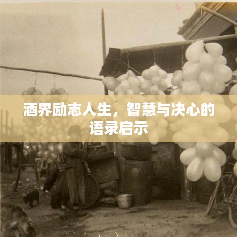 酒界励志人生，智慧与决心的语录启示