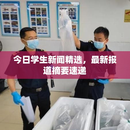 今日学生新闻精选，最新报道摘要速递