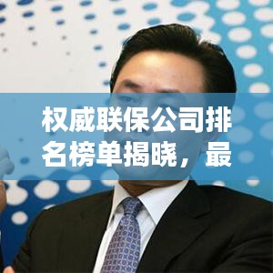 权威联保公司排名榜单揭晓，最新排名揭秘！