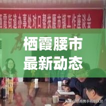 栖霞腰市最新动态，城市新动向及时事热点聚焦