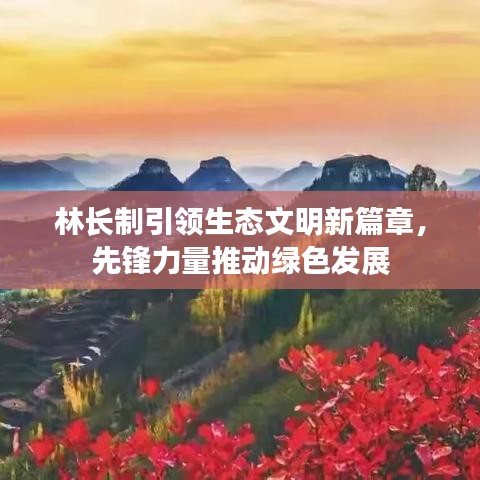 林长制引领生态文明新篇章，先锋力量推动绿色发展