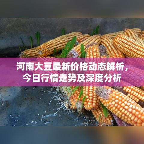 无独有偶