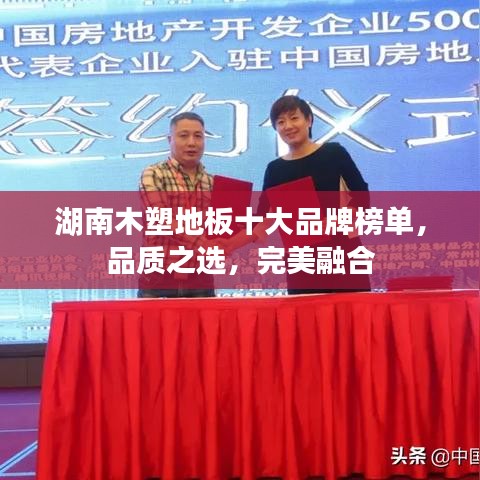 湖南木塑地板十大品牌榜单，品质之选，完美融合