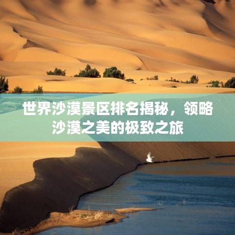 世界沙漠景区排名揭秘，领略沙漠之美的极致之旅