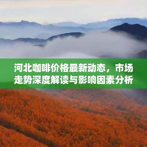河北咖啡价格最新动态，市场走势深度解读与影响因素分析