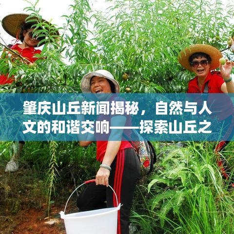肇庆山丘新闻揭秘，自然与人文的和谐交响——探索山丘之美