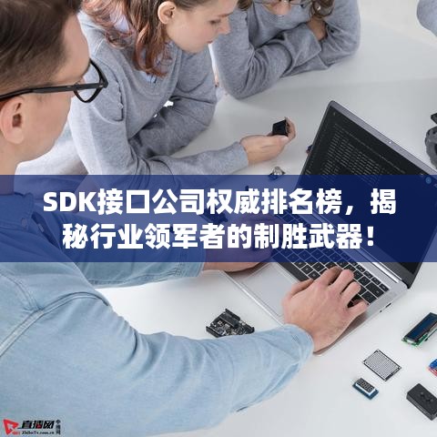 SDK接口公司权威排名榜，揭秘行业领军者的制胜武器！