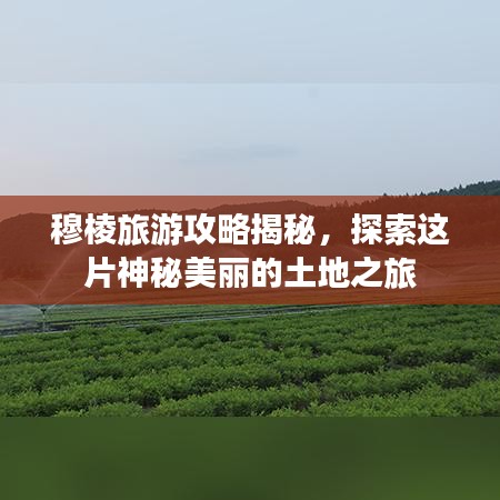 穆棱旅游攻略揭秘，探索这片神秘美丽的土地之旅
