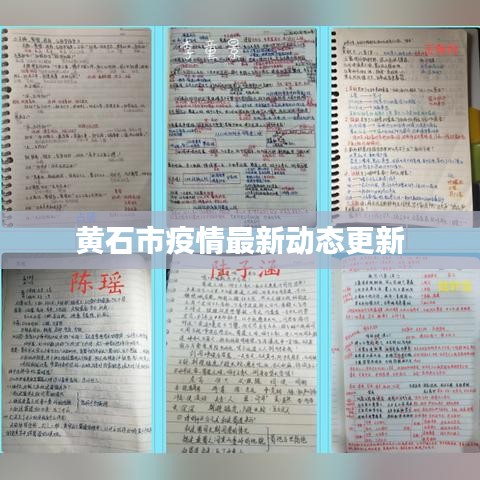 黄石市疫情最新动态更新