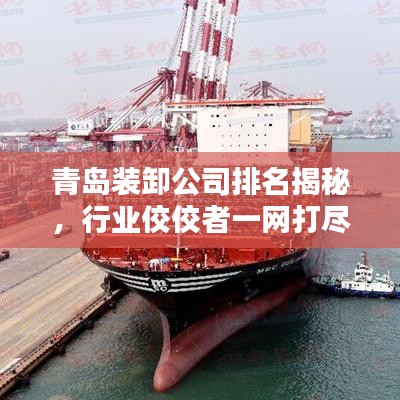 青岛装卸公司排名揭秘，行业佼佼者一网打尽！
