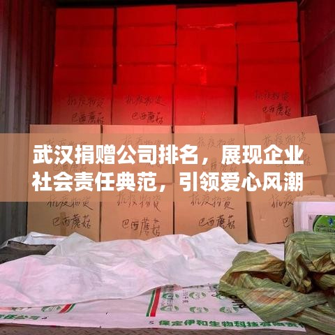 武汉捐赠公司排名，展现企业社会责任典范，引领爱心风潮！