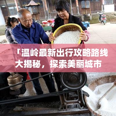 「温岭最新出行攻略路线大揭秘，探索美丽城市的绝佳路线」