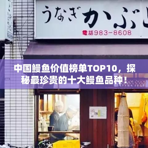 中国鳗鱼价值榜单TOP10，探秘最珍贵的十大鳗鱼品种！