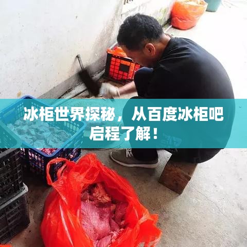 肝胆相照