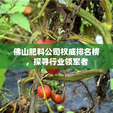 刺股读书