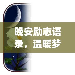 秀外慧中