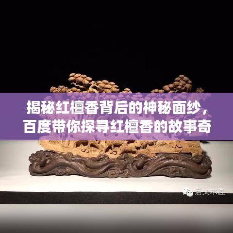 节衣缩食