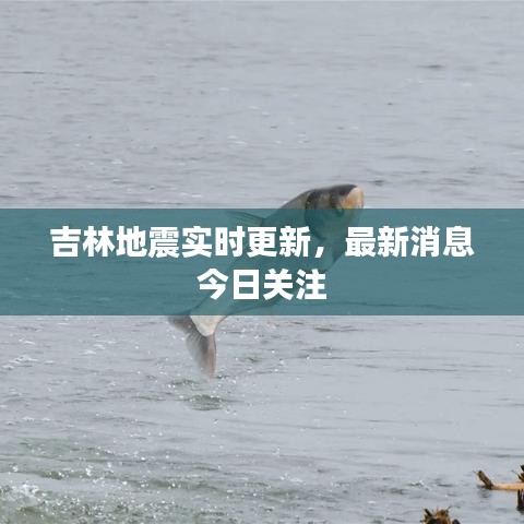 2025年5月 第191页