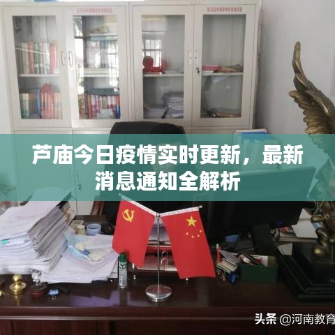 芦庙今日疫情实时更新，最新消息通知全解析