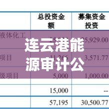 连云港能源审计公司排名及影响力深度剖析