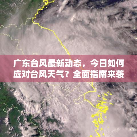 广东台风最新动态，今日如何应对台风天气？全面指南来袭！