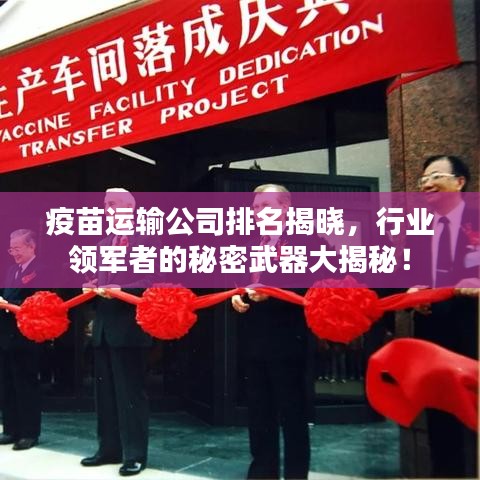 疫苗运输公司排名揭晓，行业领军者的秘密武器大揭秘！